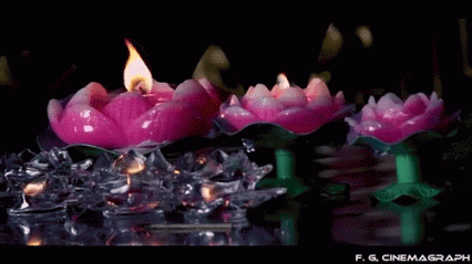 5 Ways To Rid Yourself of Negativity - Luneria Beauty Botanica