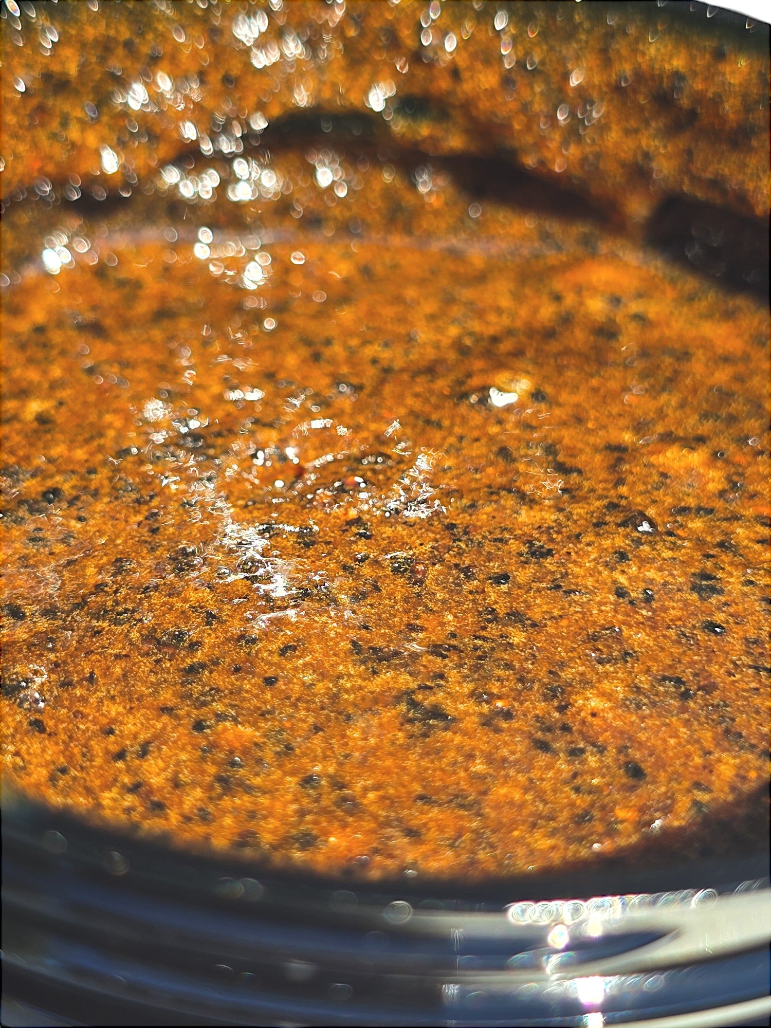 Autumn Glow: Coffee & Brown Sugar Scrub - Turmeric Infused for Radiant Skin - Luneria Beauty Botanica