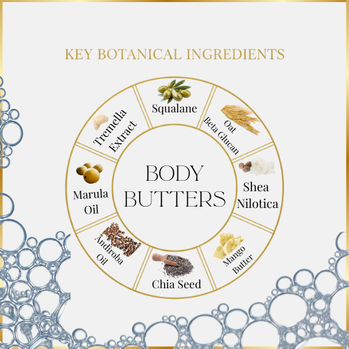 Diagram of key botanical ingredients used in body butters on a white background with decorative elements.